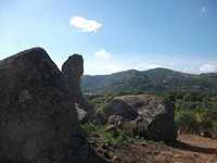 gale-20120725 032